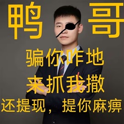 鸭子哥的故事! - 挖银子 鸭子哥的故事!