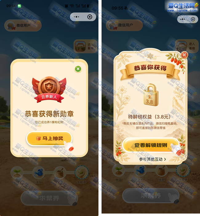 毛铺每日种树抽实物/现金 反馈3.8元现金